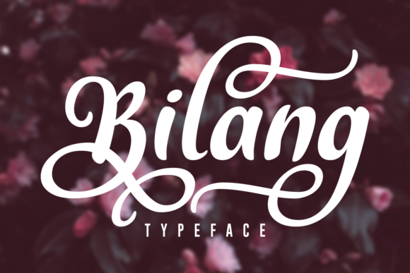 Balang: Elevating Your Visual Identity with Bold Elegance