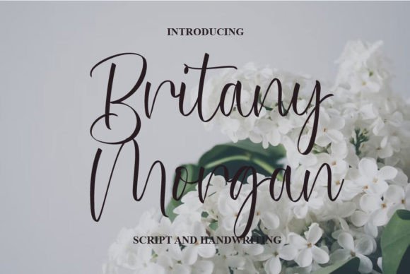 Britany Morgan: The Definitive Guide to a Script Font That Redefines Luxury