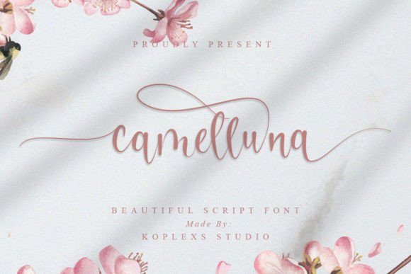 Camelluna: A Fresh Modern Script for Creative Projects