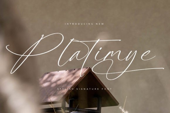 Platimye: Redefining Luxury Through Fluid Typography