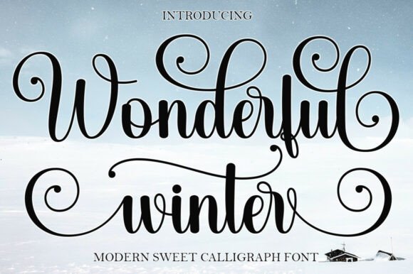 Wonderful Winter